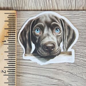 Pet Stickers 10 for $10 Dogs Puppy Cats Kitten Pets Animal Sticker
